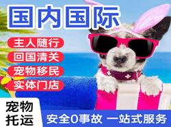 喀什航空快运国际宠物托运 【国